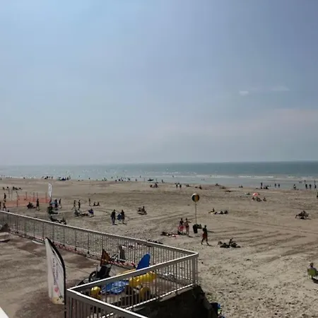 Cosy A 300m De La / Cosy Flat At 300m From The Sea Apartament *