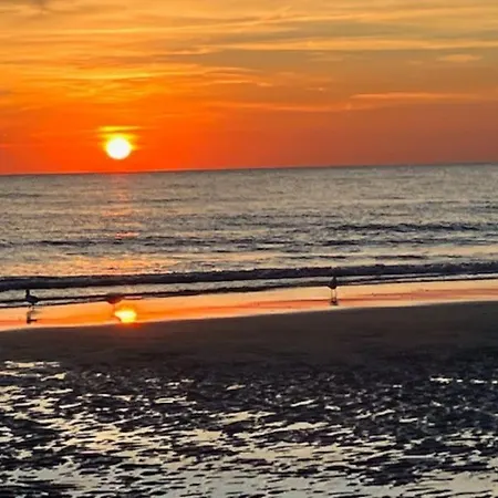 Apartament Cosy A 300m De La / Cosy Flat At 300m From The Sea